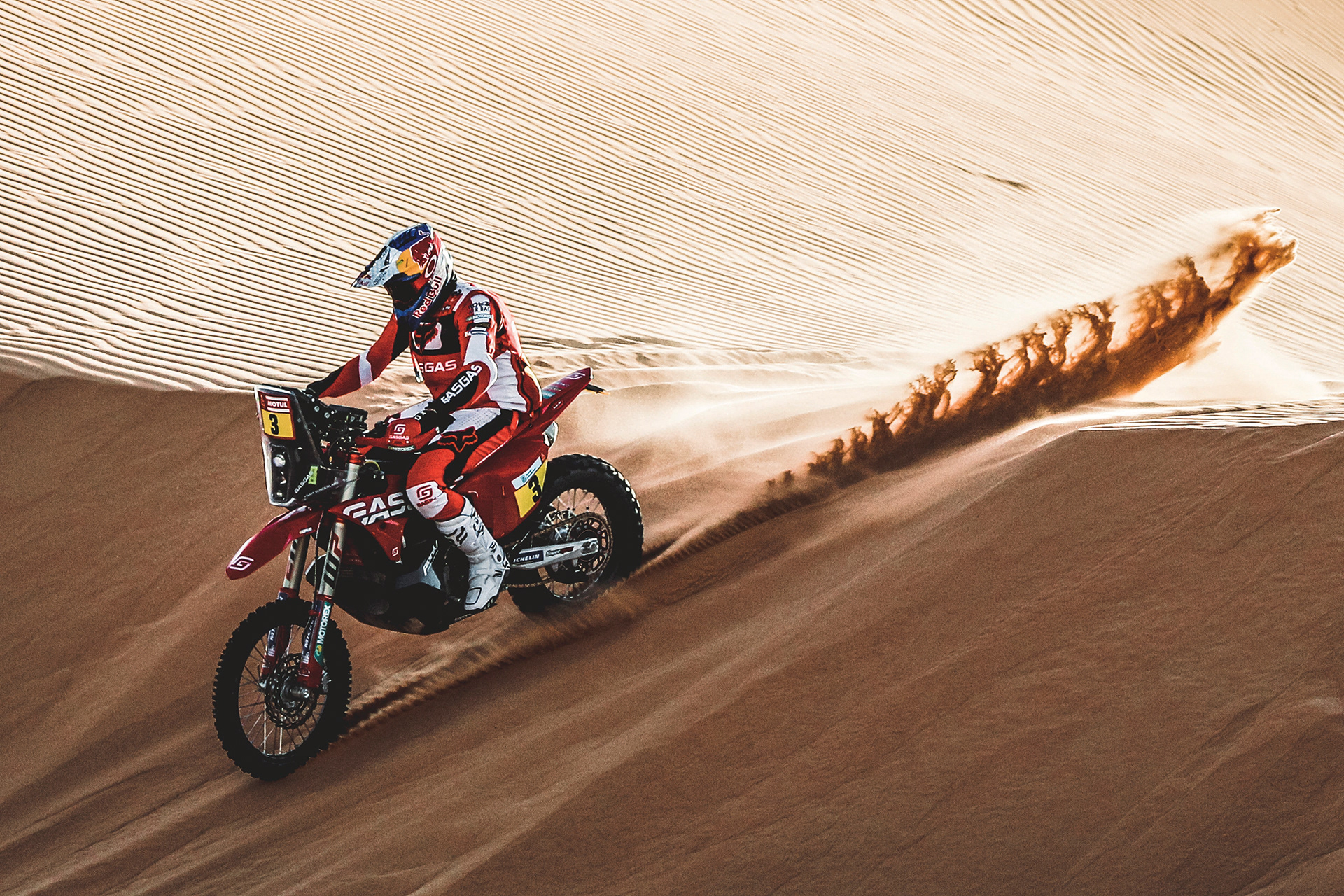 3d，dogcart，advertisement，