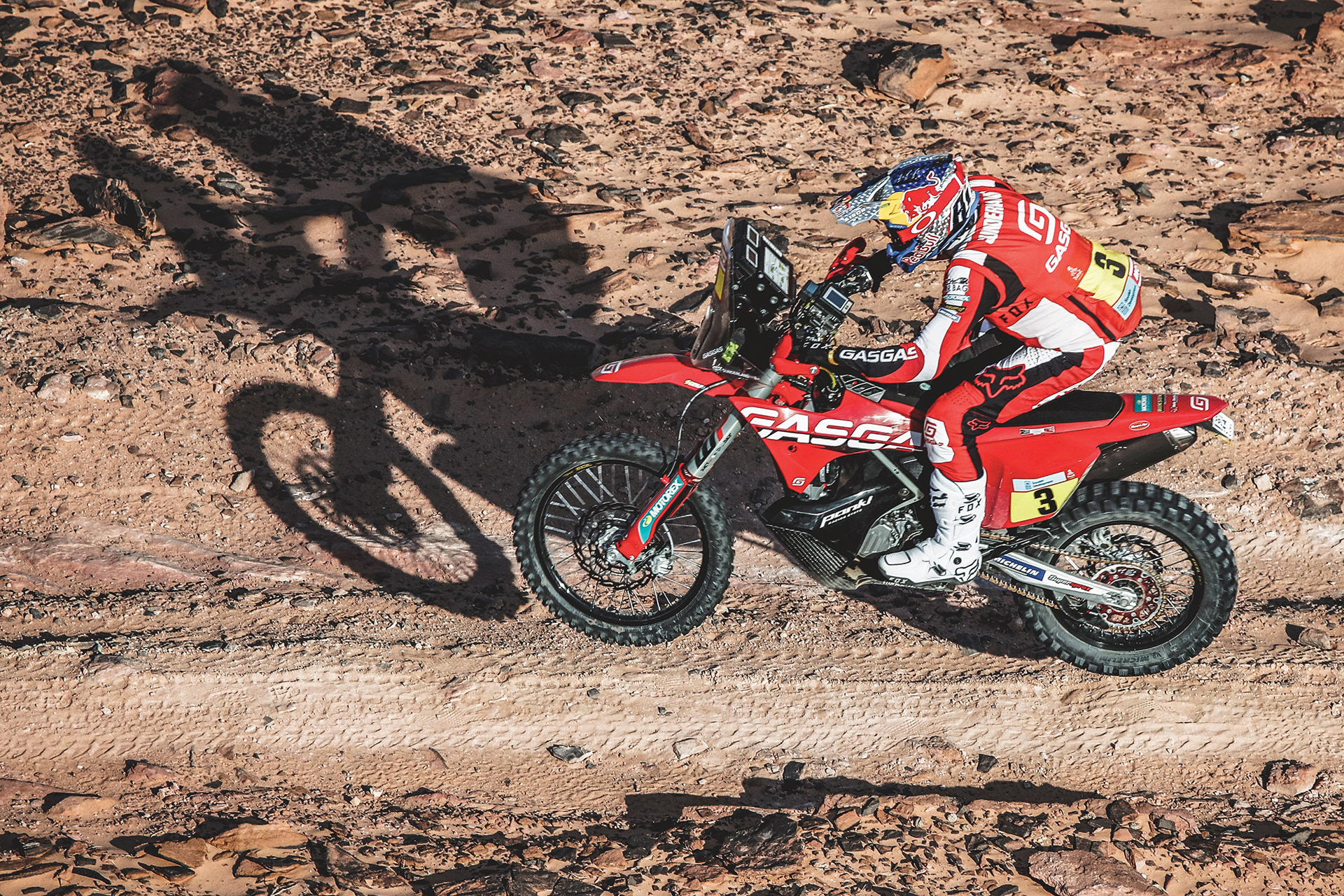 3d，dogcart，advertisement，