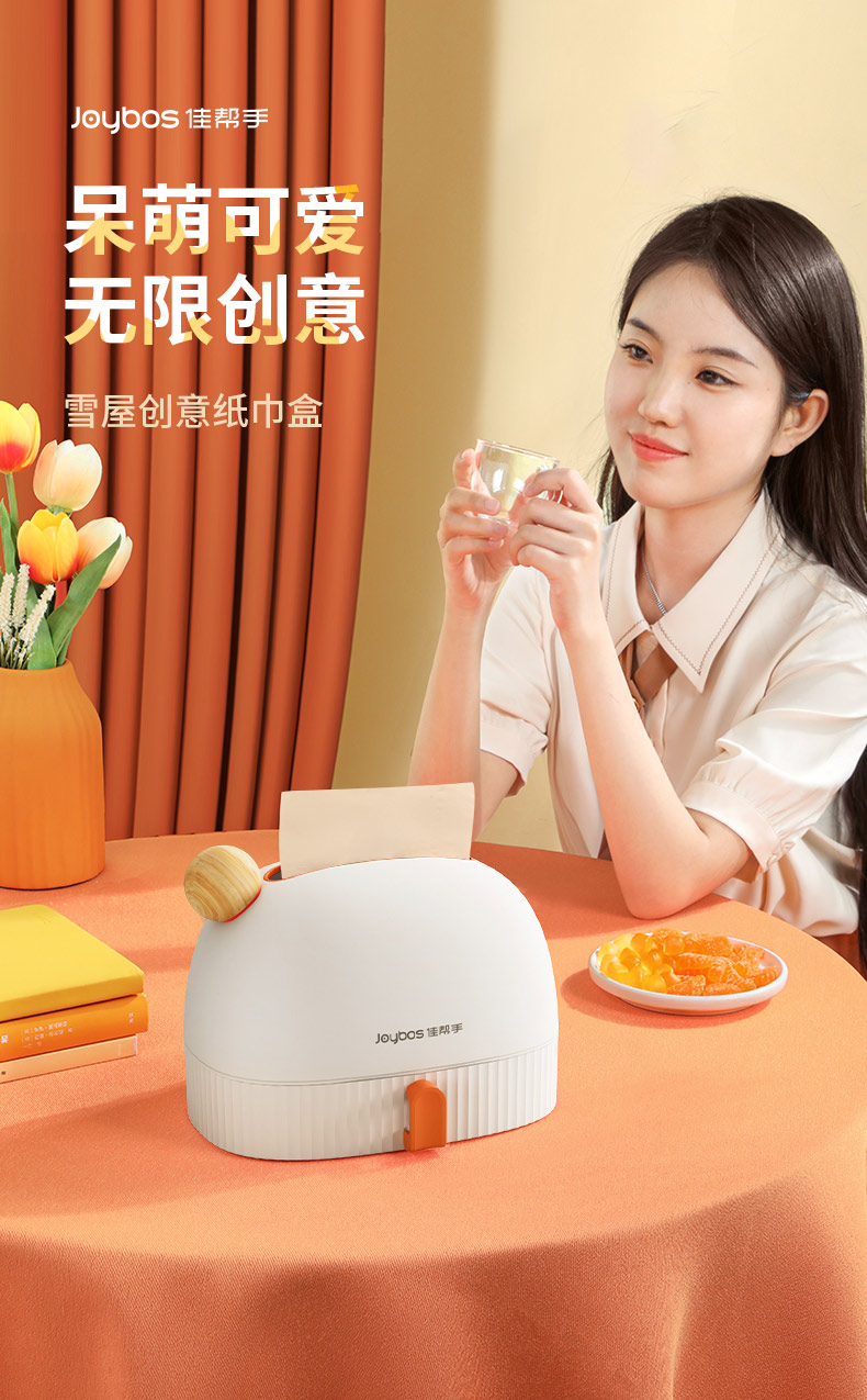 Tissue box，Snow house，