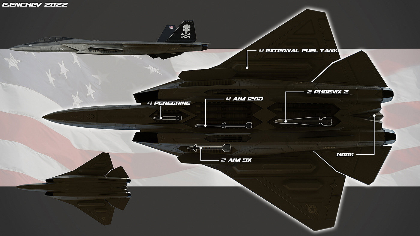 F-14，喷气式飞机，军用，