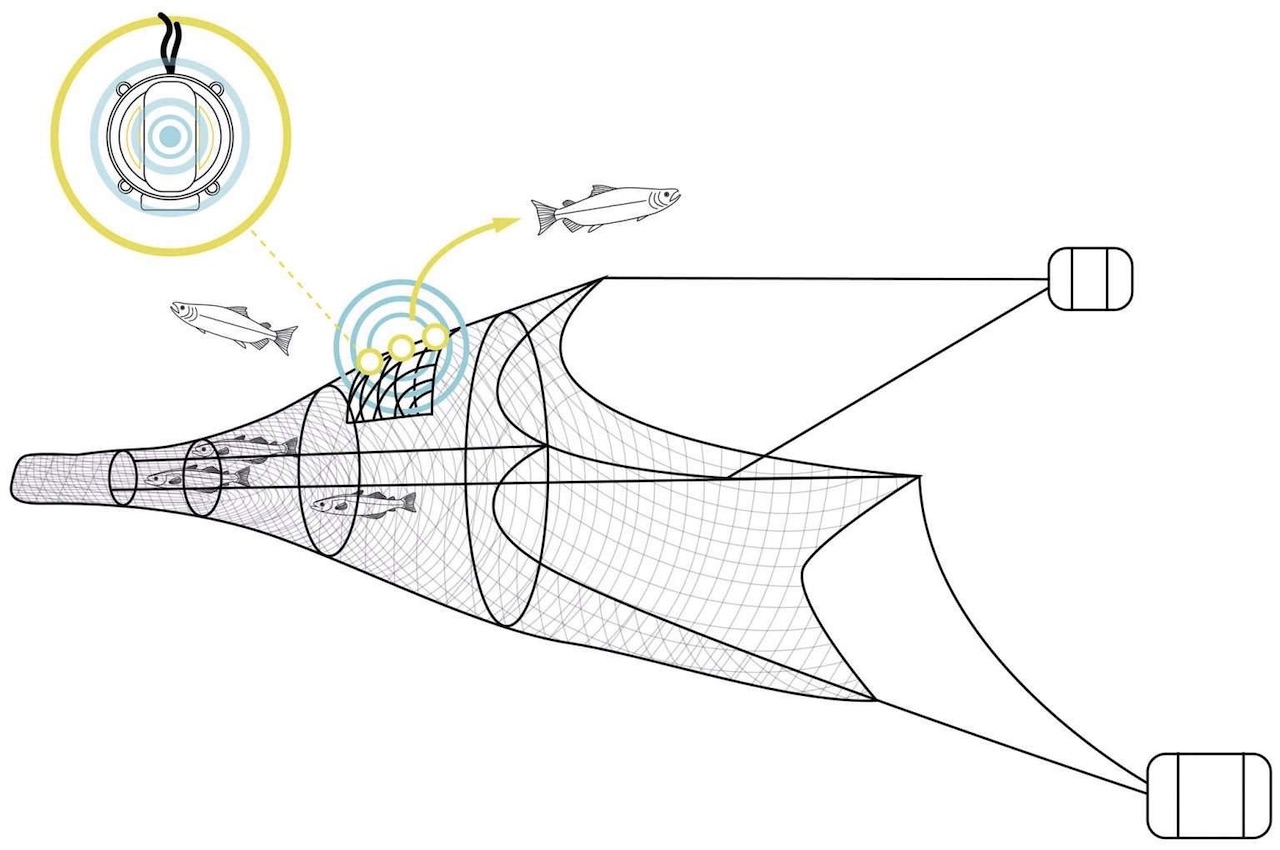 Fishing lamp，Underwater light，Fishing Light，