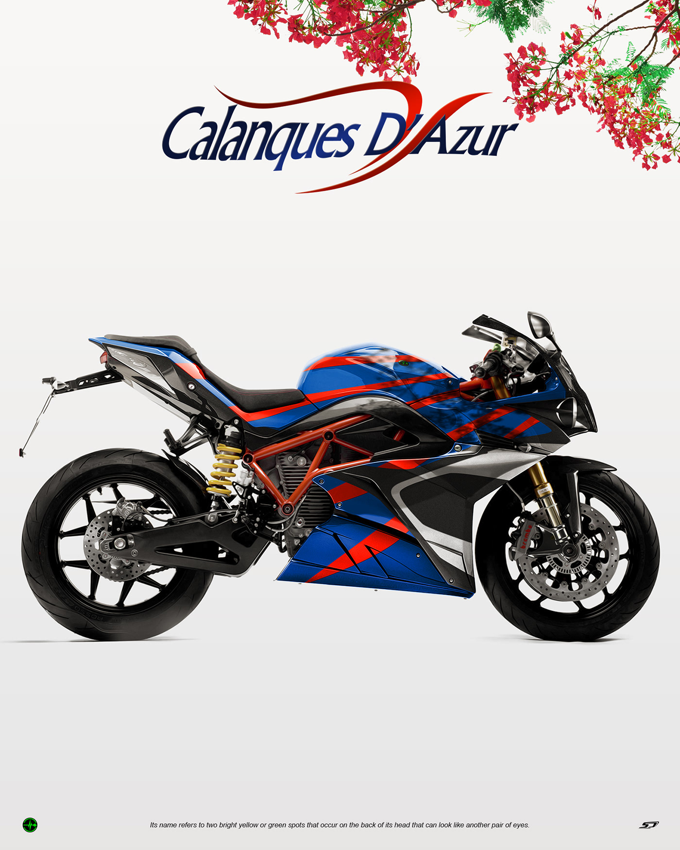 Motorcycle，cross-country，vehicle，Road racing，