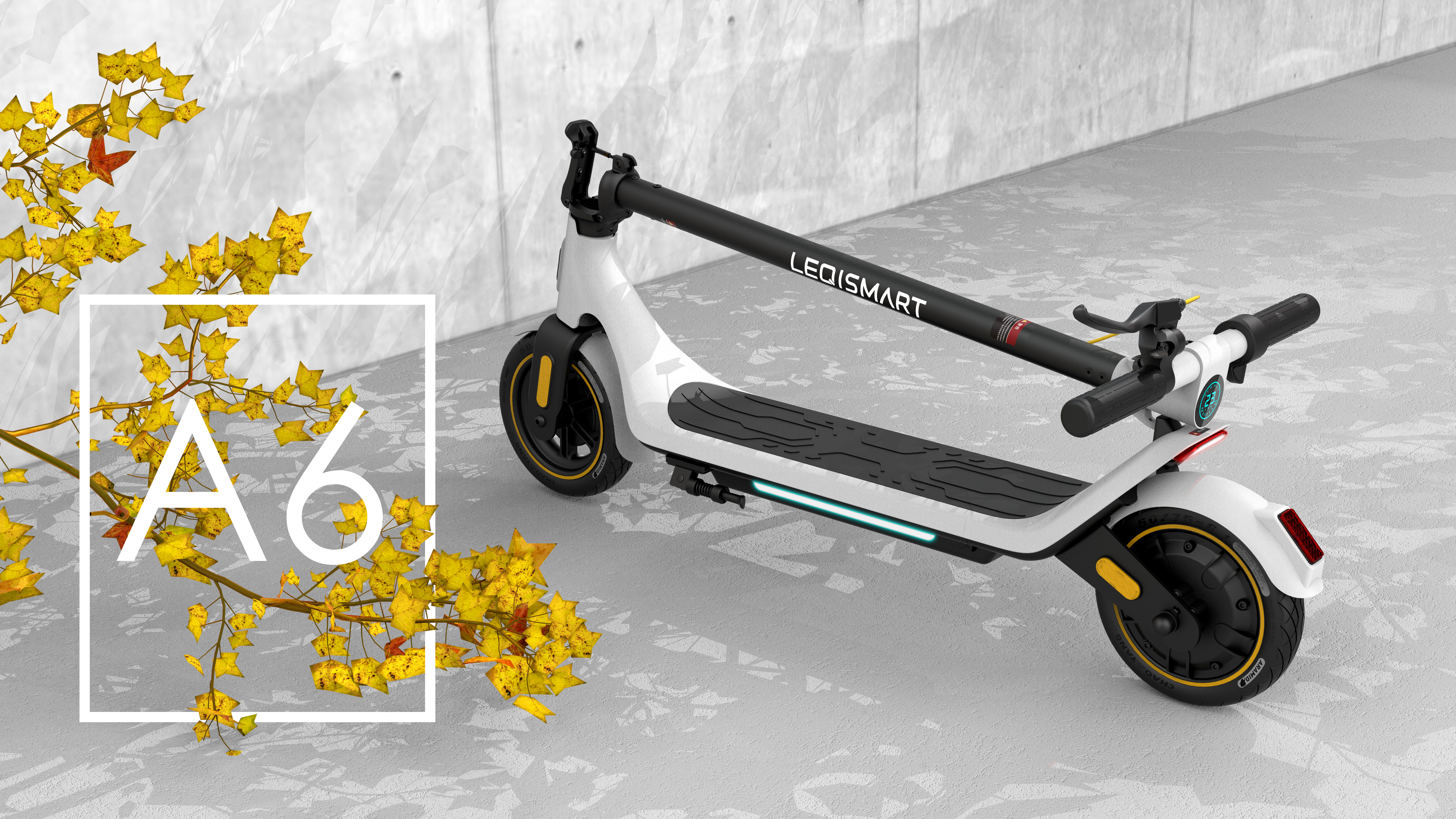 Eco，APP interconnection，Electric，Scooter，