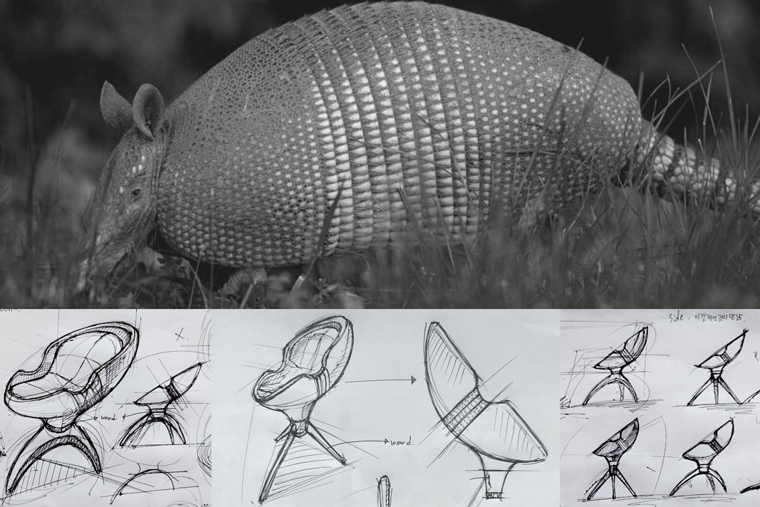 chair，shell，Chair，