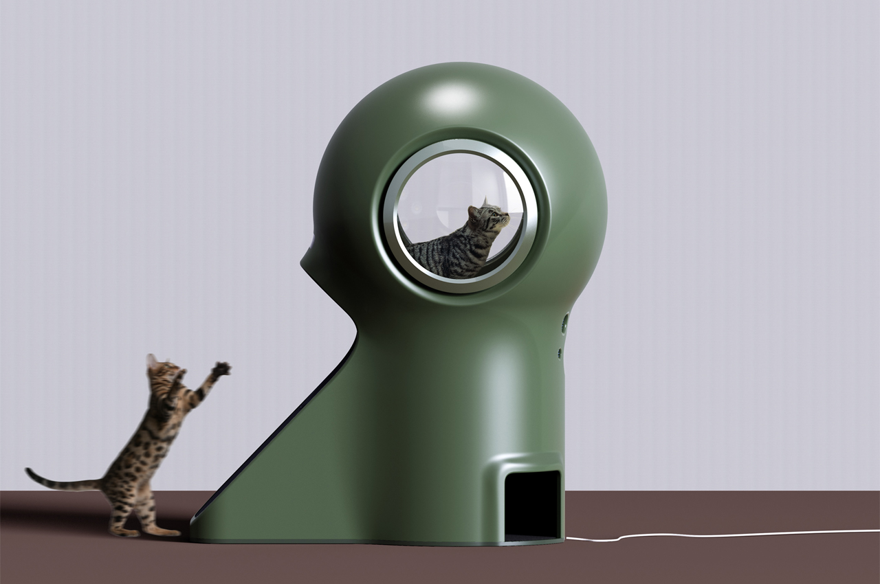 nest，The cinerary casket，wheelchair，Rest place，