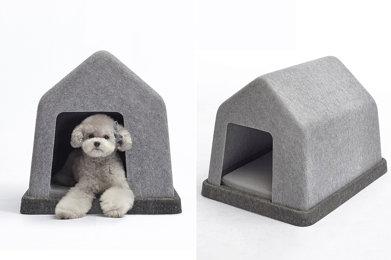 nest，The cinerary casket，wheelchair，Rest place，