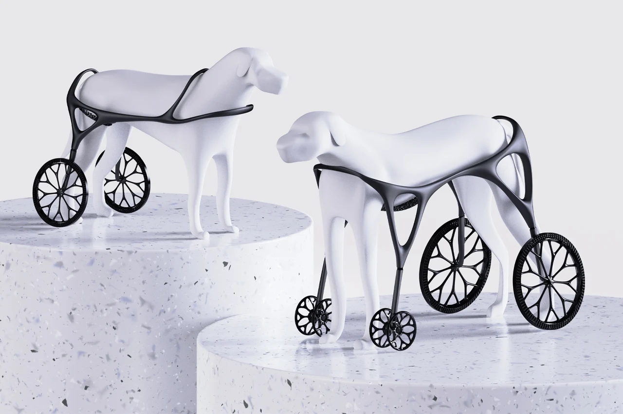 nest，The cinerary casket，wheelchair，Rest place，