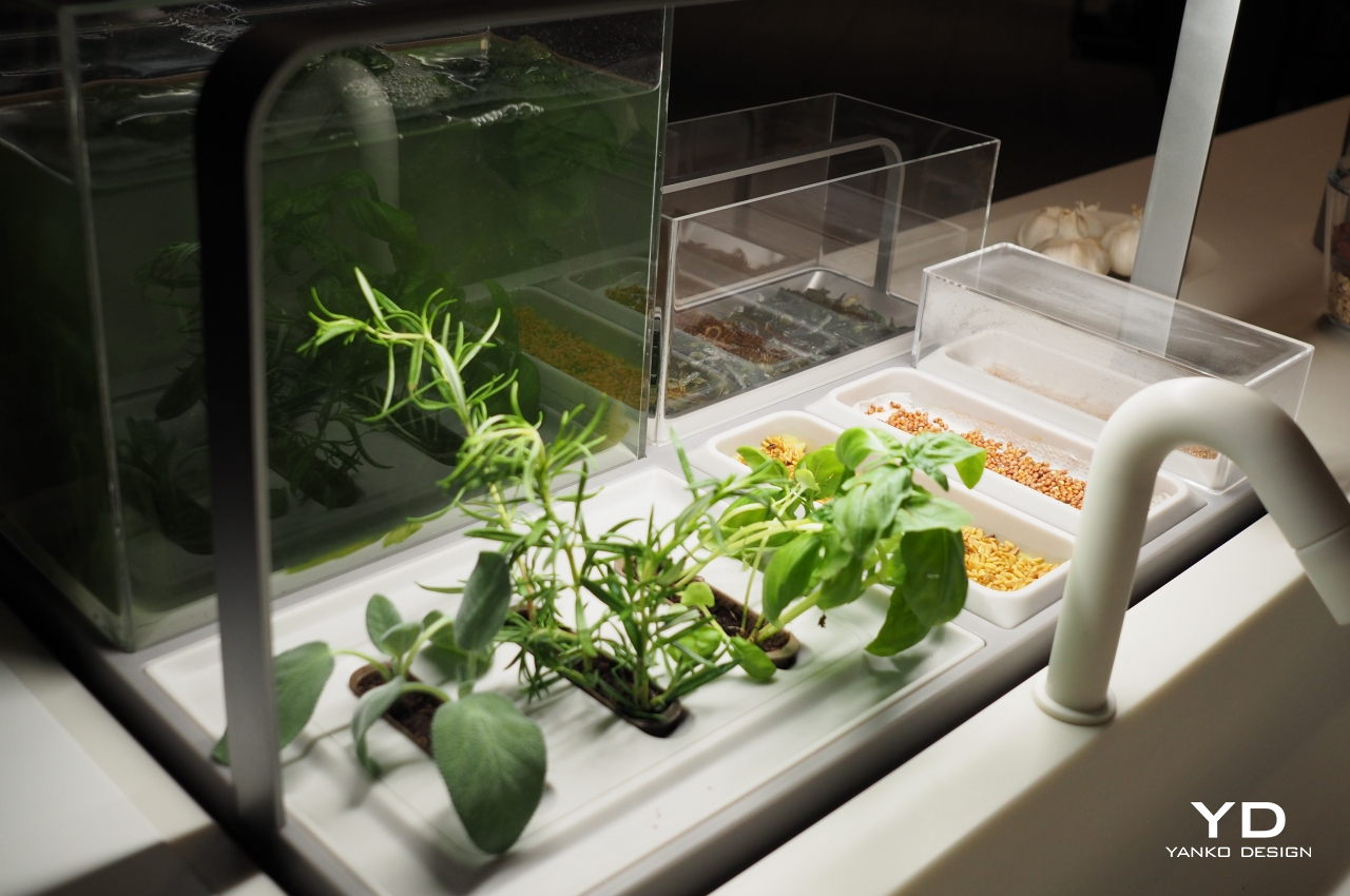 kitchen，concept，Sustainable diet，healthy，electrolux，Electrolux，