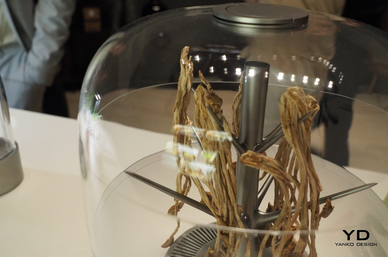 kitchen，concept，Sustainable diet，healthy，electrolux，Electrolux，