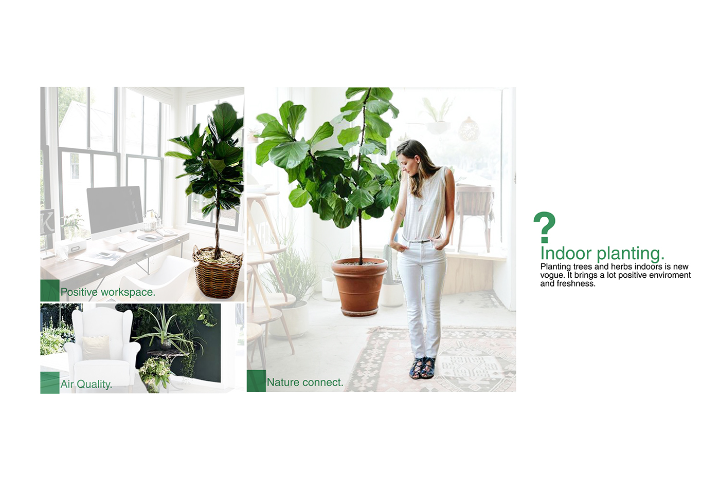 Electronic equipment，Flower cultivation，gardener，grow flowers，Botany，Flower cultivation，