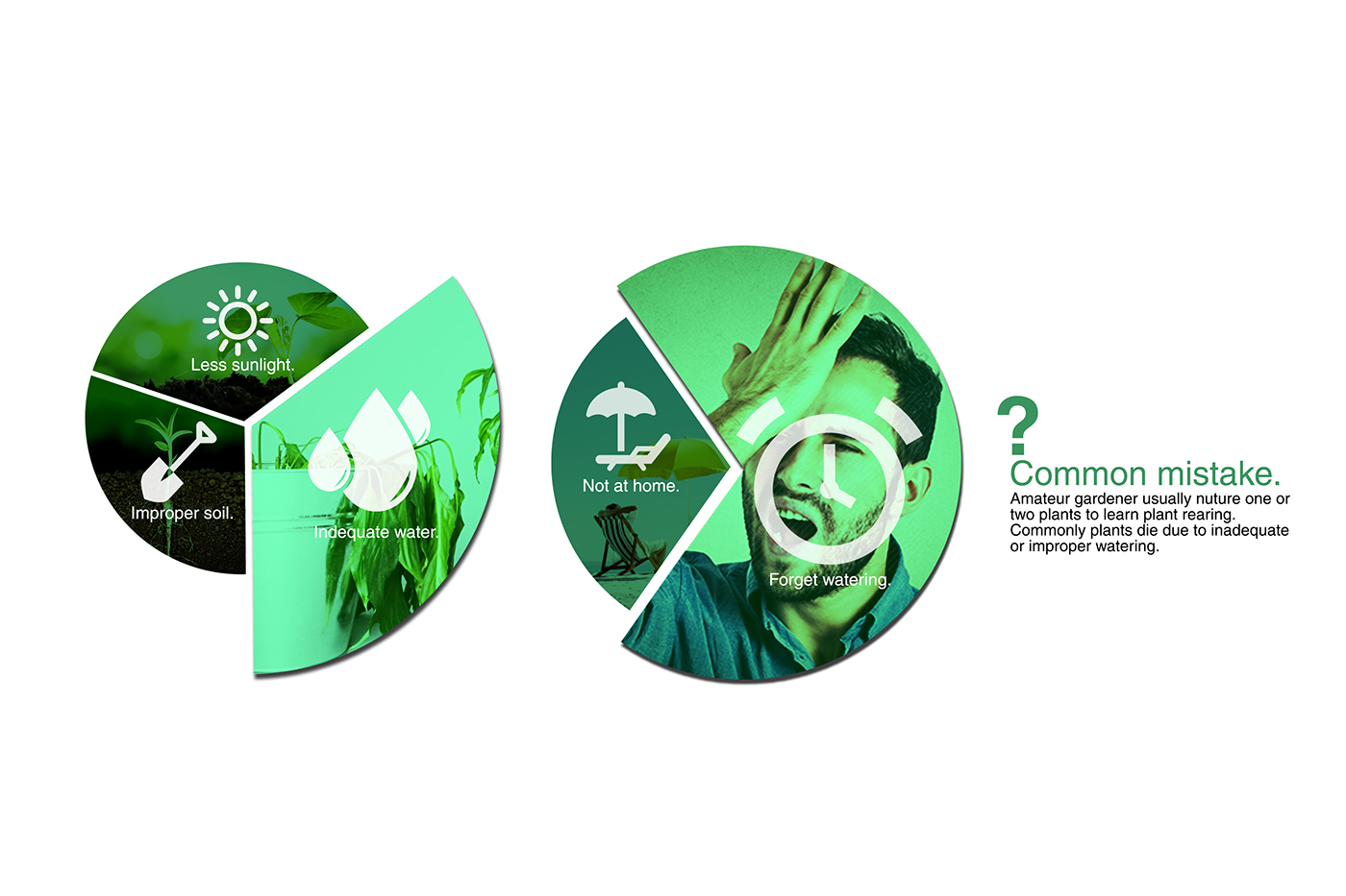 Electronic equipment，Flower cultivation，gardener，grow flowers，Botany，Flower cultivation，