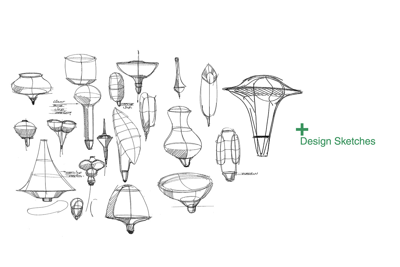 Electronic equipment，Flower cultivation，gardener，grow flowers，Botany，Flower cultivation，