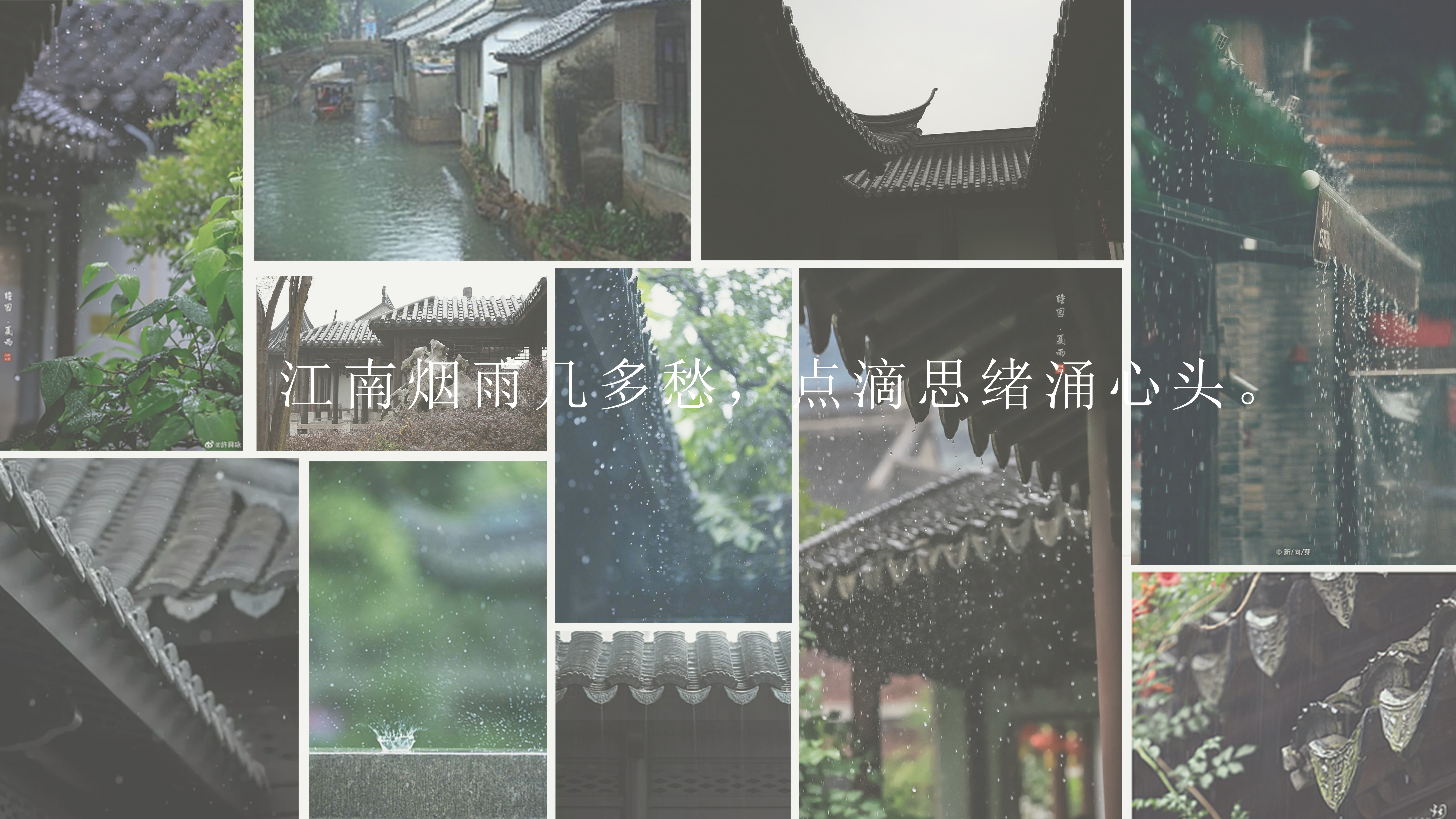 tea set，Jiangnan misty rain，traditional culture，