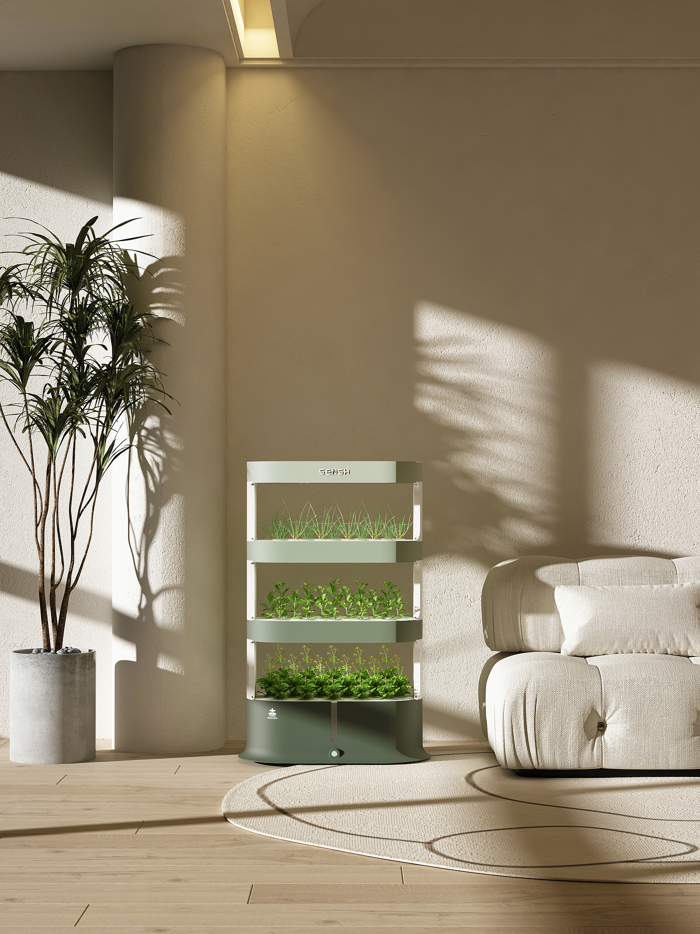 plant，