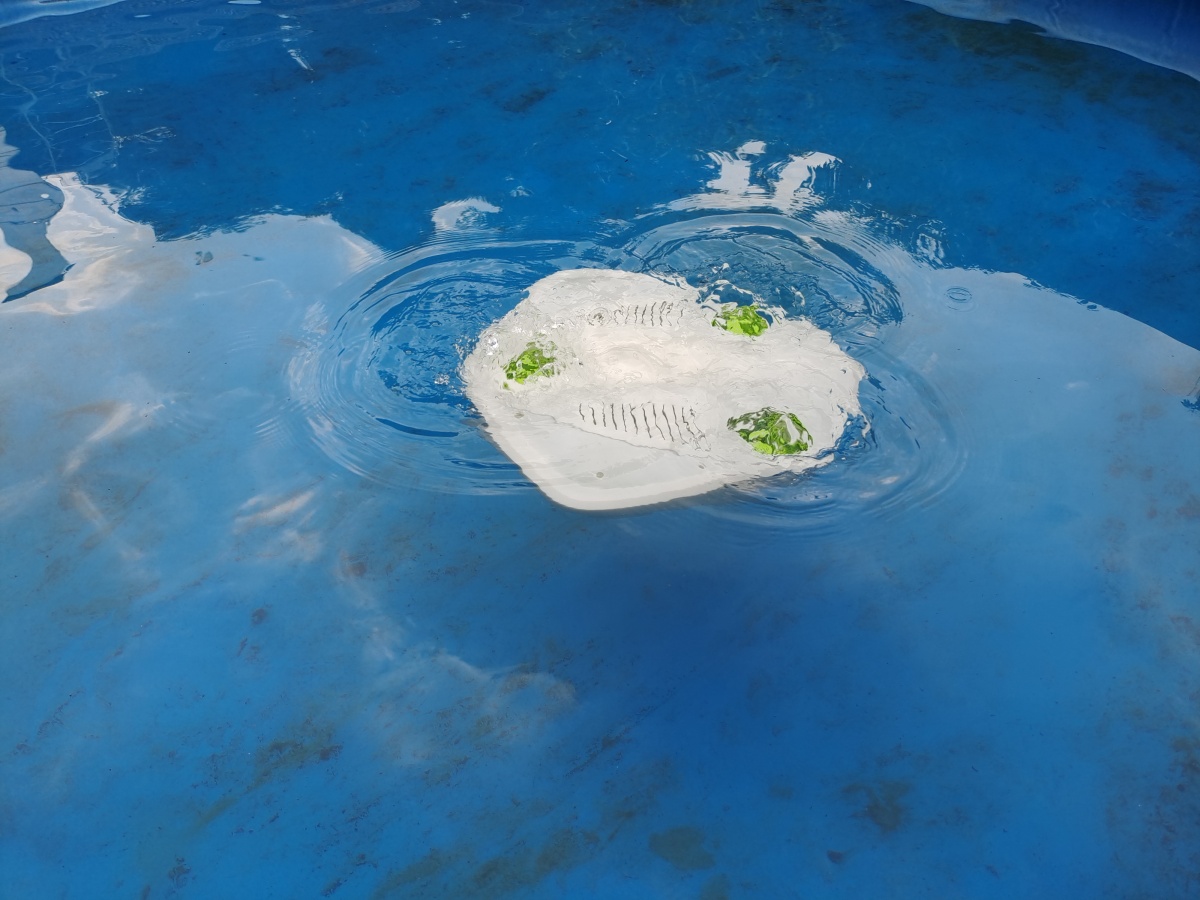 Graduation Design Works of 2022 Undergraduate，Graduation exhibition，School of Design, Hunan University ，Ocean experience，submarine，