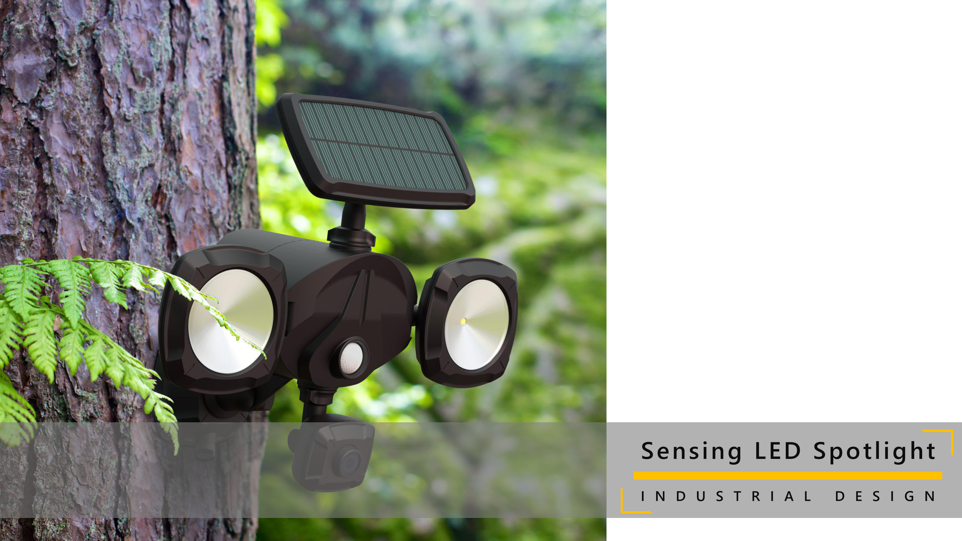 lamps and lanterns，