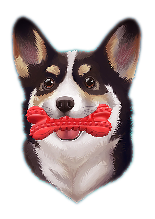 Pet toys，Chewing toys，gift，Dog bones，