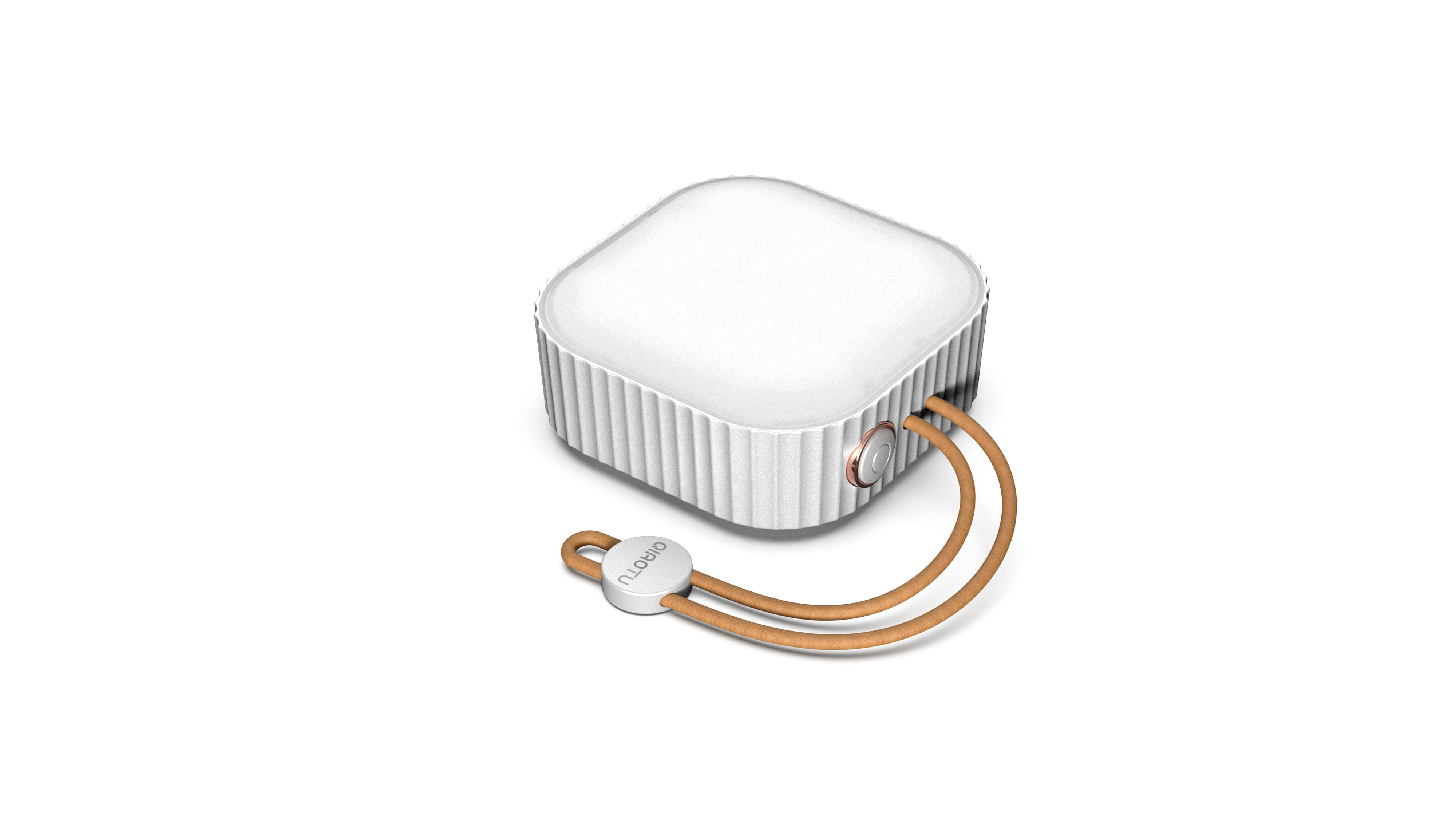 Tent light，Camping lamp，Outdoor camping lamp，Camp lamp，Emergency lighting，LED atmosphere lamp，Dutch Dwarf Rabbit Q1，