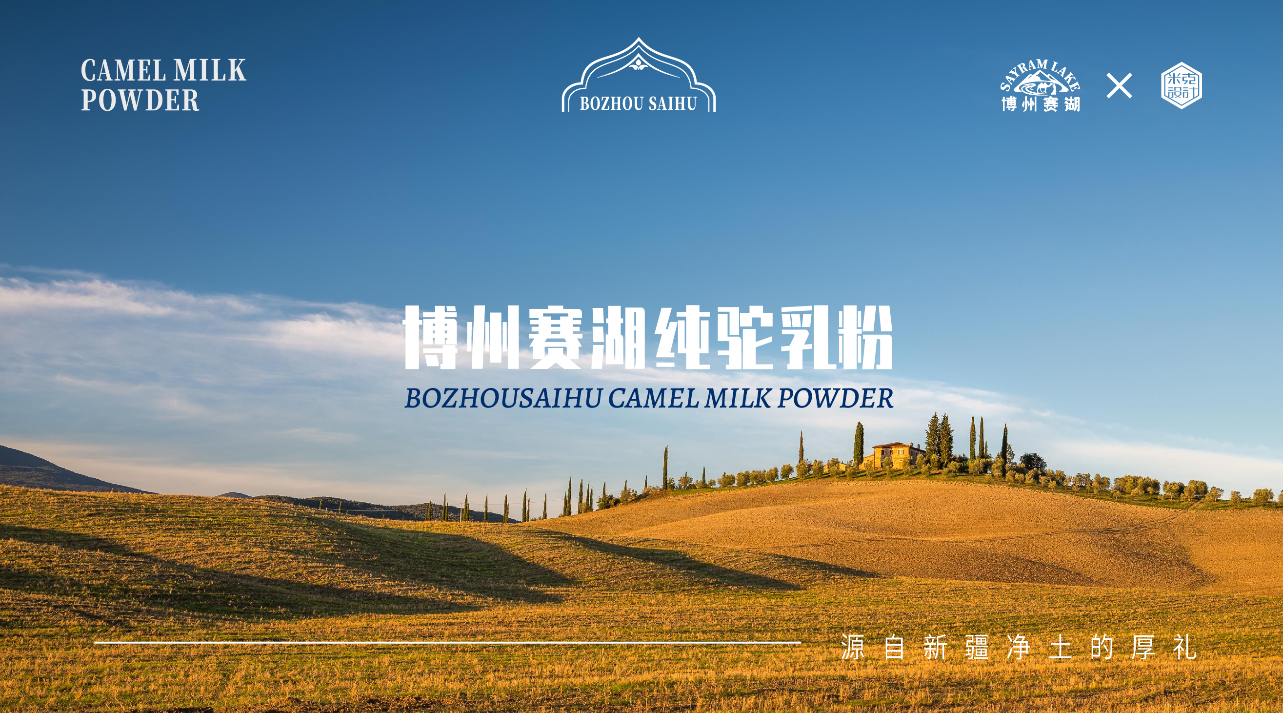 packing design，Camel milk powder，Milk powder packaging，Illustration design，Font design，Brand design，