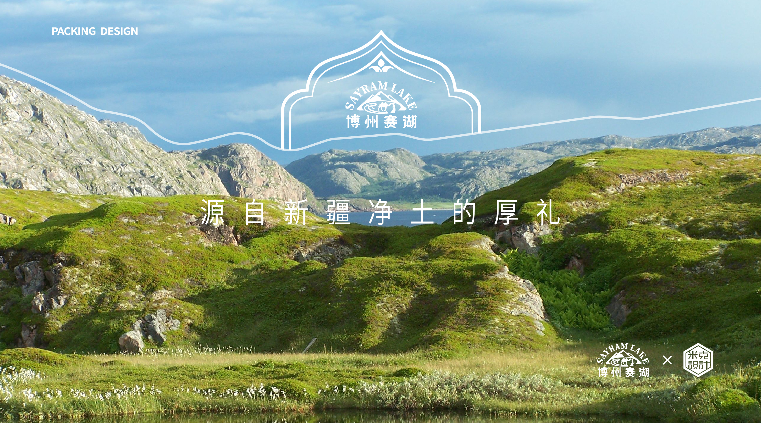 packing design，Camel milk powder，Milk powder packaging，Illustration design，Font design，Brand design，