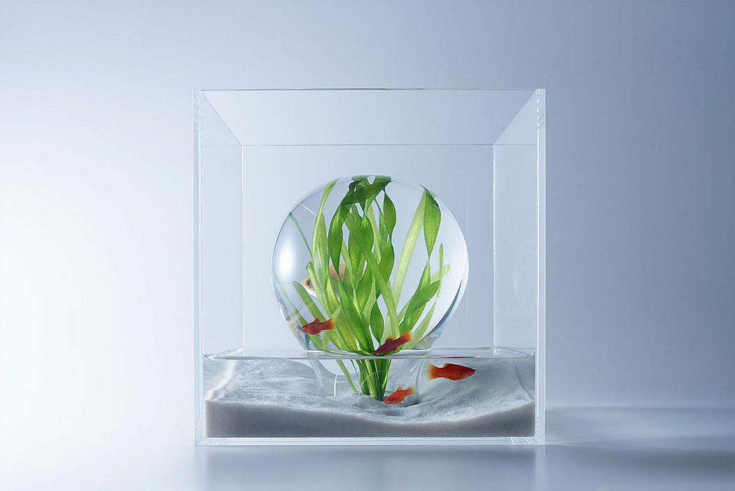 fish tank，Minimalist，waterscape，building structure，