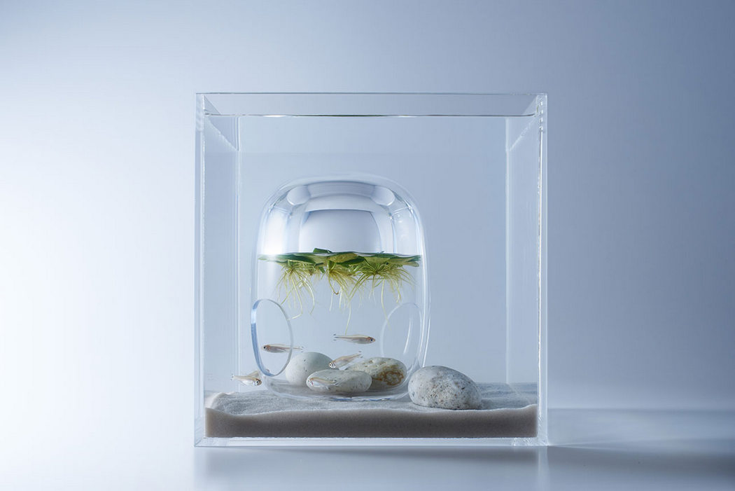 fish tank，Minimalist，waterscape，building structure，