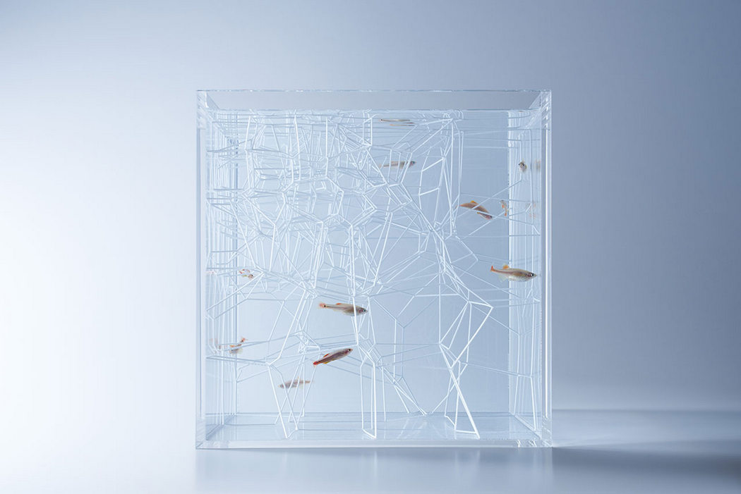 fish tank，Minimalist，waterscape，building structure，