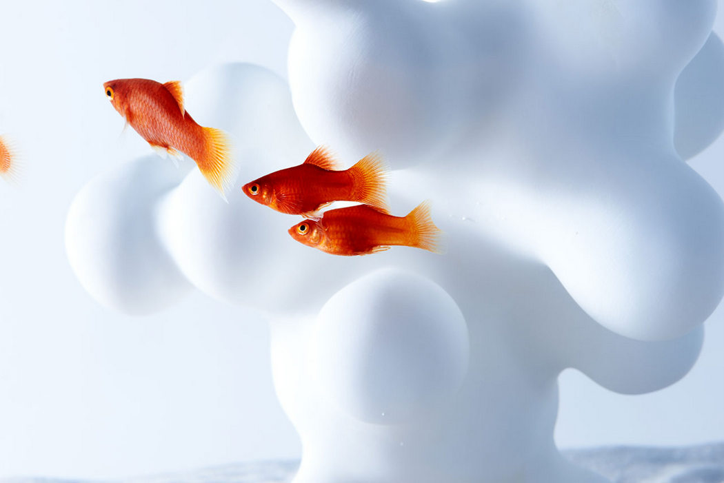 fish tank，Minimalist，waterscape，building structure，