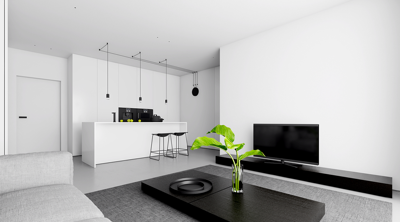 APARTMENT IN ŁÓ，Interior decoration，Minimalist，