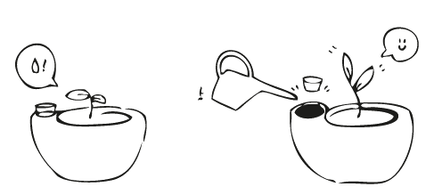 Parrot，Flowerpot，life，