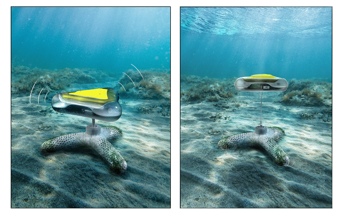 Monitoring buoy，Coral reef，sustainable，product design，Design，