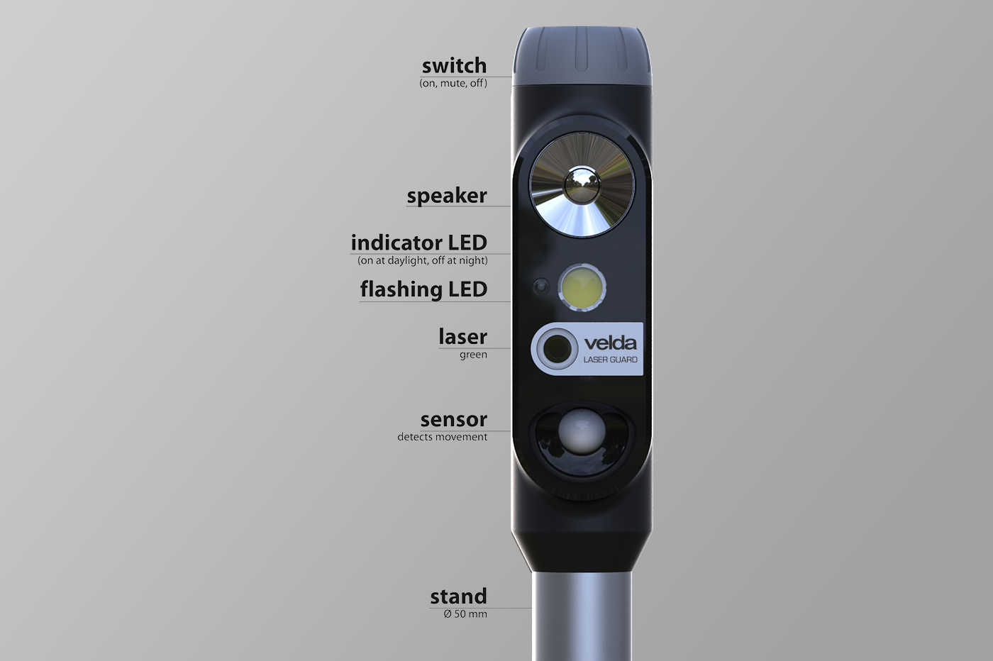 laser，intelligence，fish，