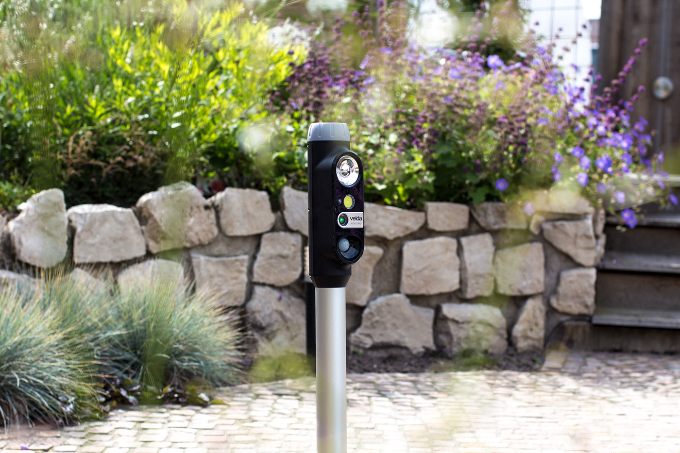 laser，intelligence，fish，