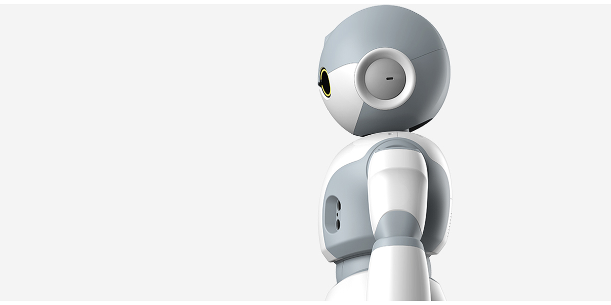 robot，Intelligent machine，Home robot，industrial design，product design，artificial intelligence，