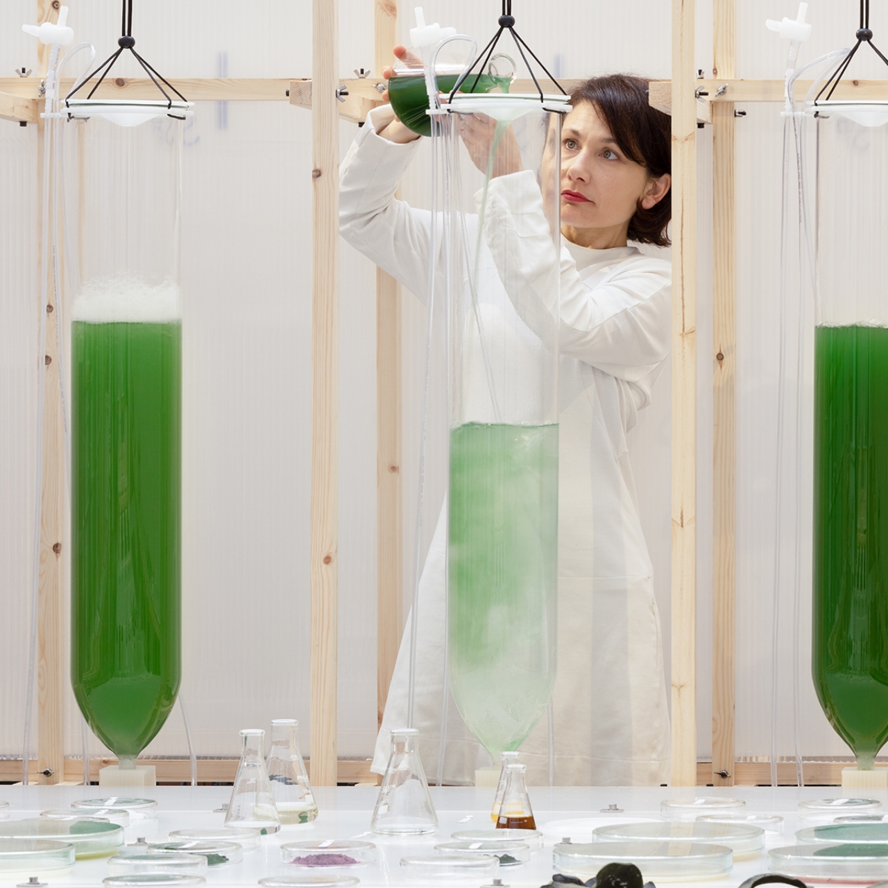 Otrivin，3D printing，Photosynthetic microalgae，Purified air，