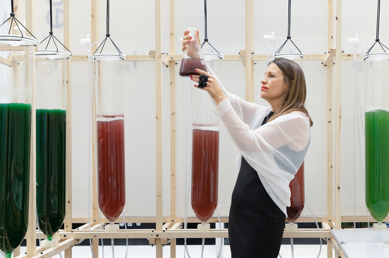 Otrivin，3D printing，Photosynthetic microalgae，Purified air，