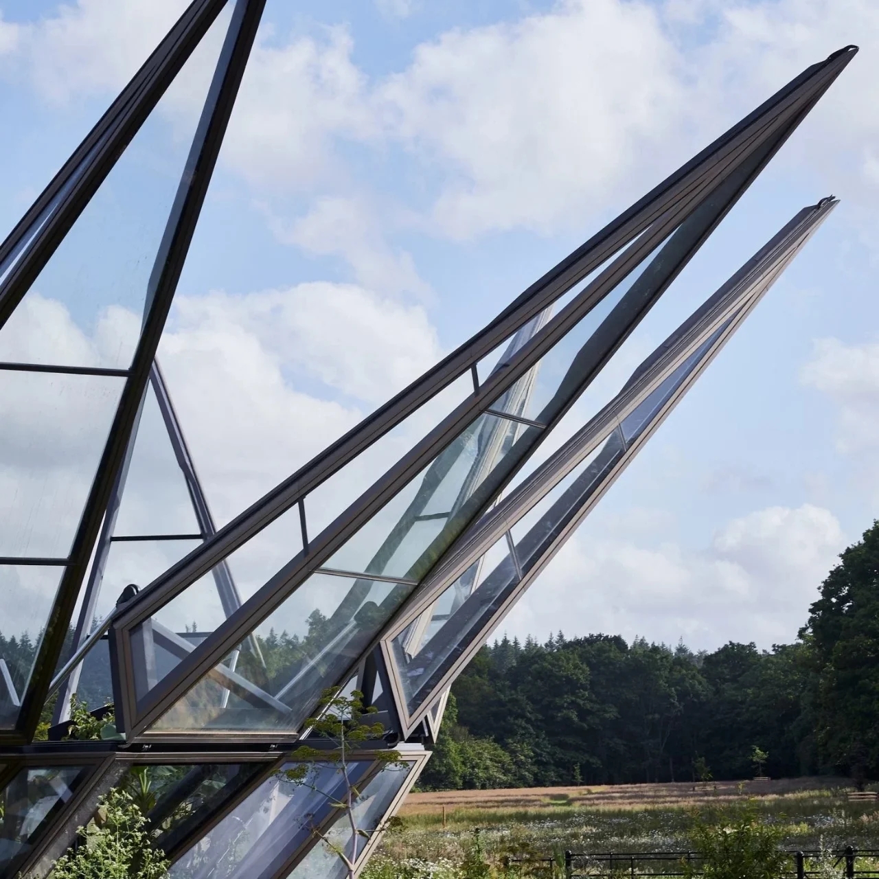 greenhouse，Silk Road，gemstone，Crown，