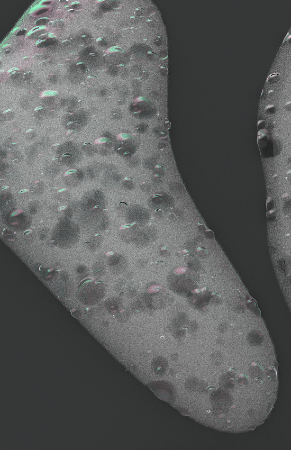 design sketch，Render，Design，