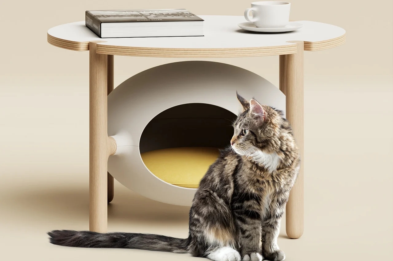 Cat nest，sense of security，ellipse，Save space，