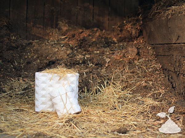 environment protection，degradation，ecology，faeces，collect，