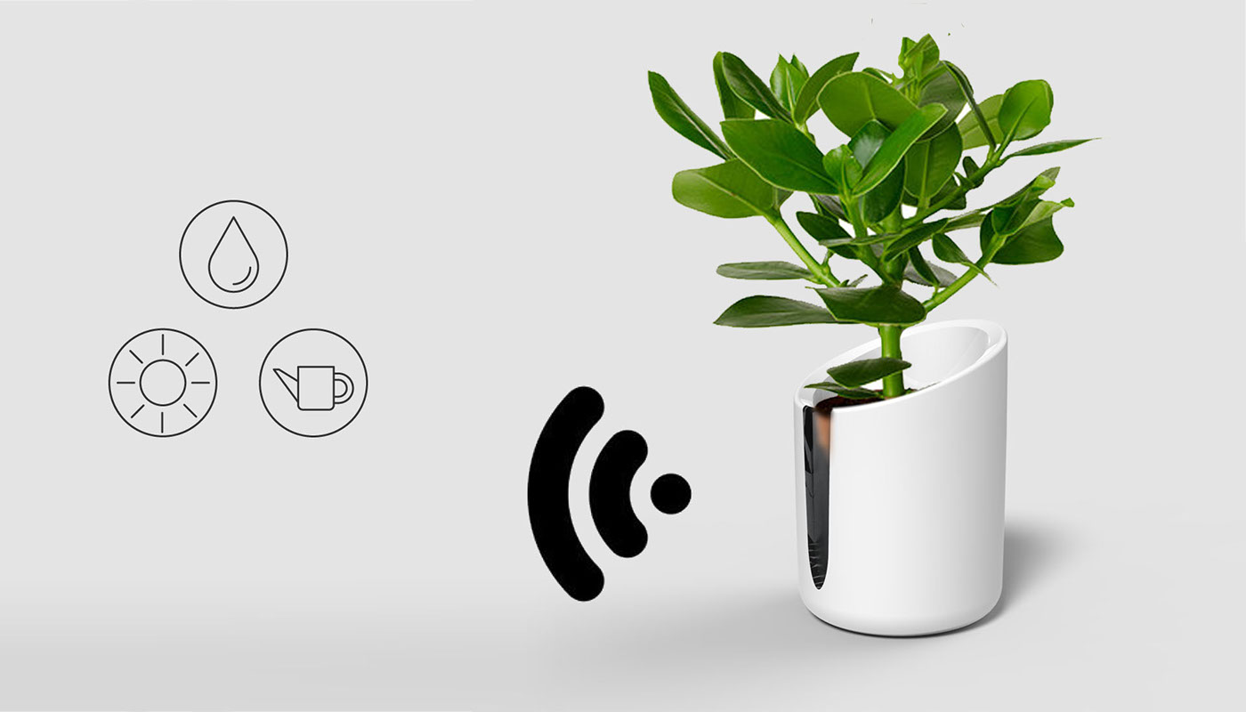 Reprint，Self watering flowerpot，intelligence，tool，