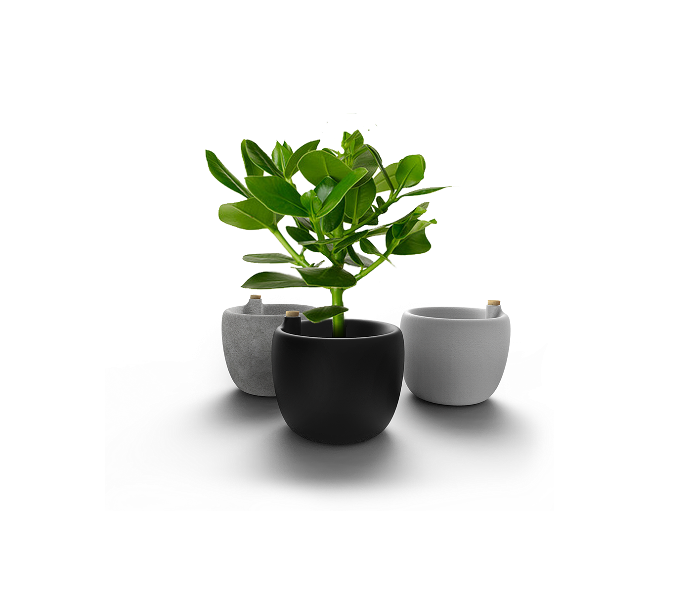 Reprint，Self watering flowerpot，intelligence，tool，
