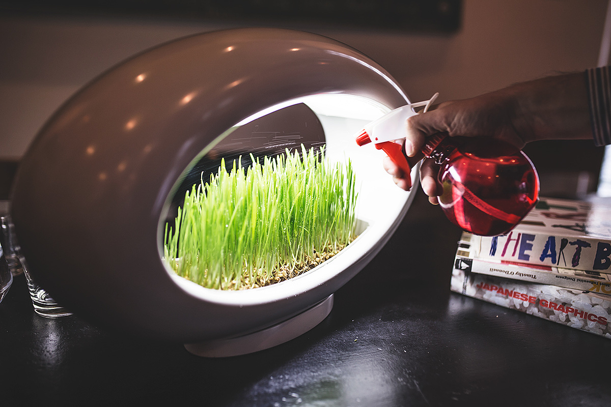 Grass Lamp，灯具，盆栽，创意，产品设计，