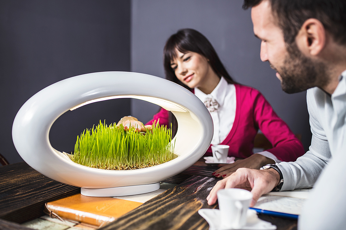 Grass Lamp，灯具，盆栽，创意，产品设计，