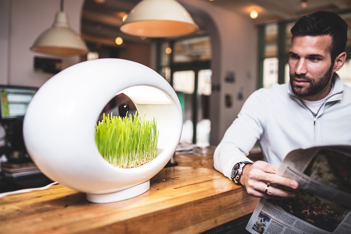 Grass Lamp，lamps and lanterns，Potted plants，originality，product design，