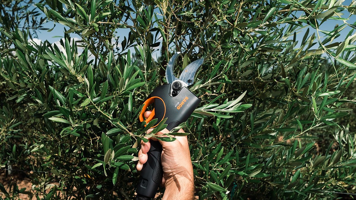 Electric pruner，Bahco，tool，2022 Red Dot Product Design Award，