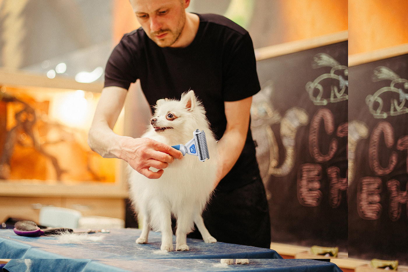 Pet comb，