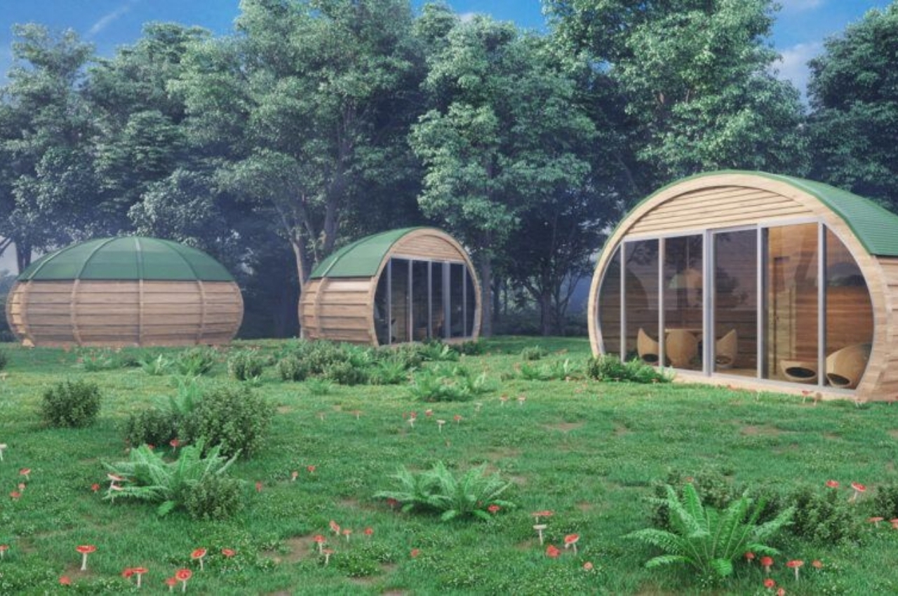 sustainable，Architecture，forest，ecology，nature，working space，space design ，Pea Clip Studio，