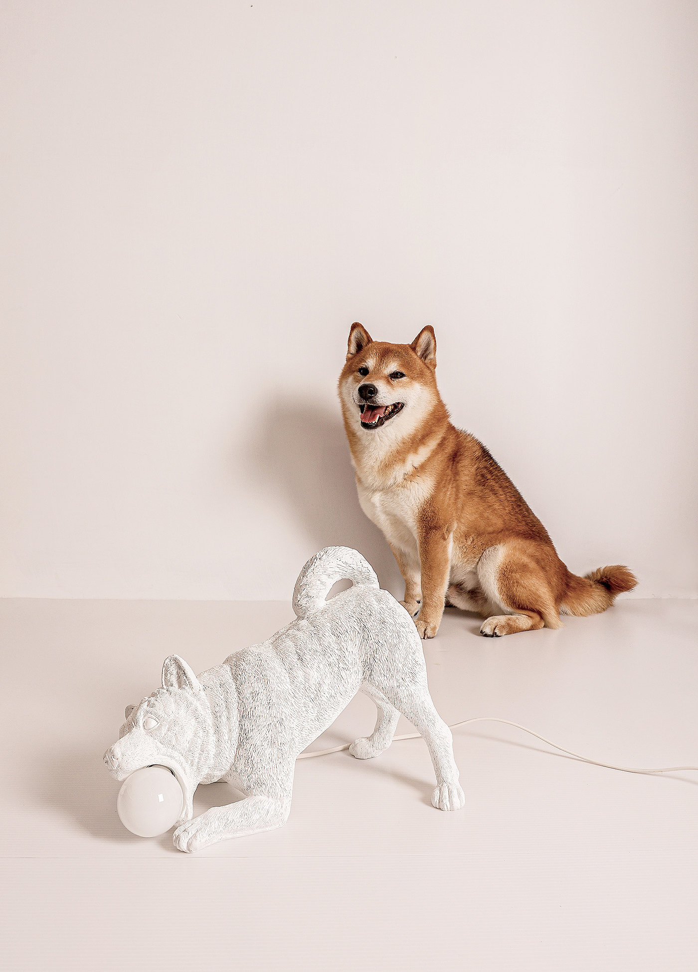 lamps and lanterns，puppy，lighting，
