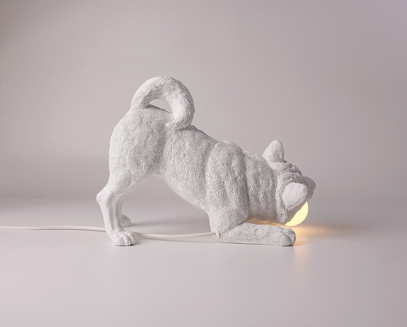 lamps and lanterns，puppy，lighting，